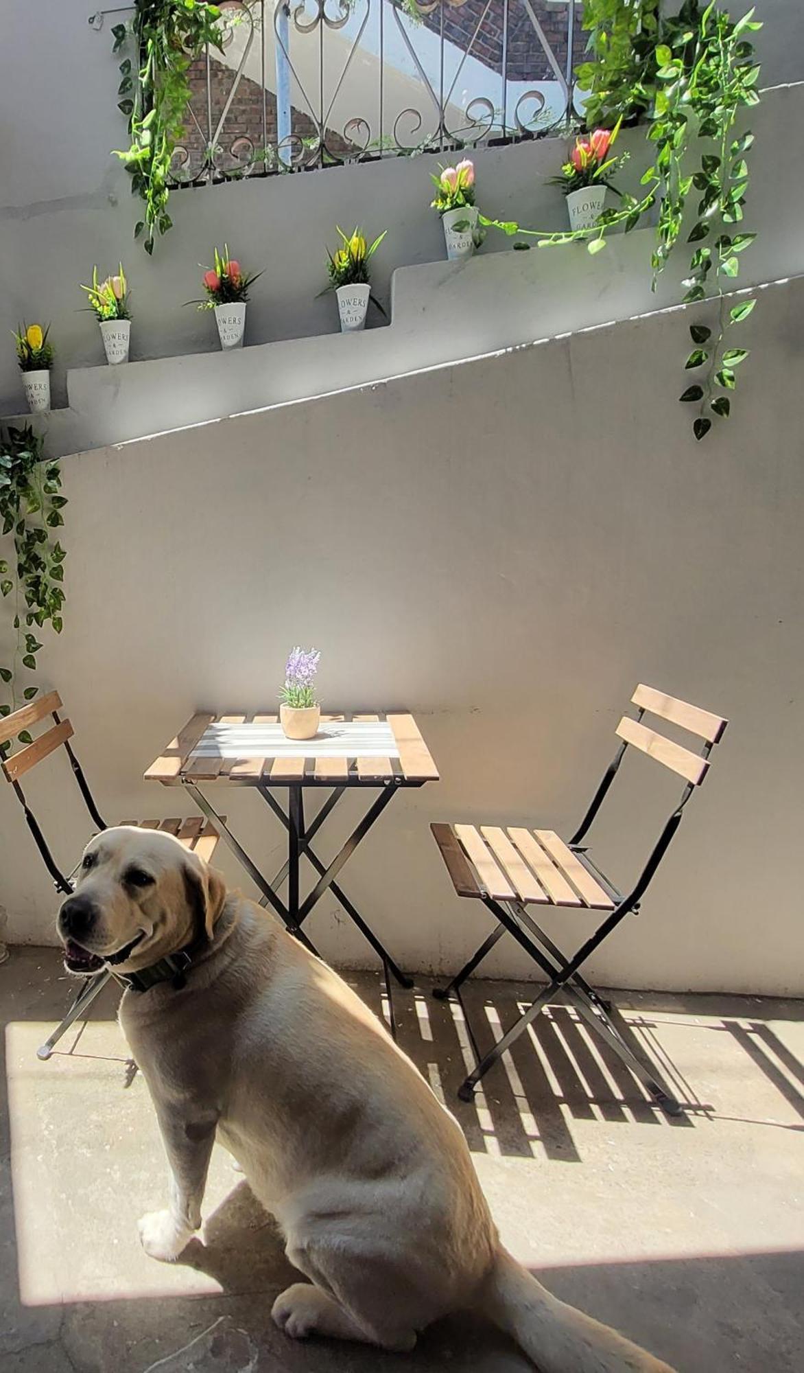 Private - Newly Renovated #8 * Seoul